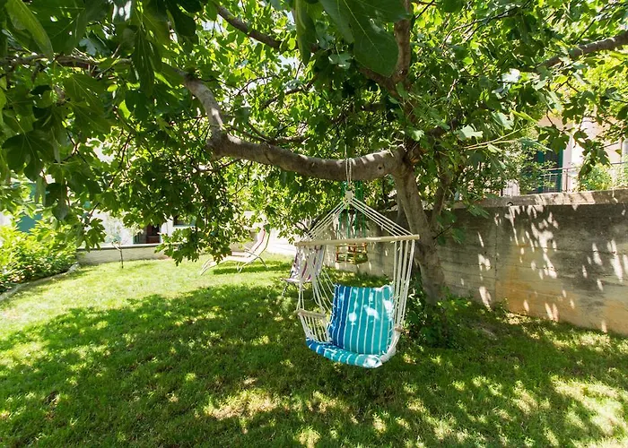 Lorenzo * تروغير