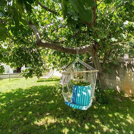 Lorenzo * تروغير